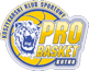 https://img.zhiyide.com/img/basketball/team/b5c21d3bf72442c7806fcfdb20ab9a33.png